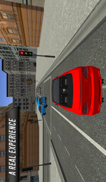 City Car Driving游戲截圖2