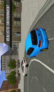City Car Driving游戲截圖1
