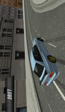City Car Driving游戲截圖3