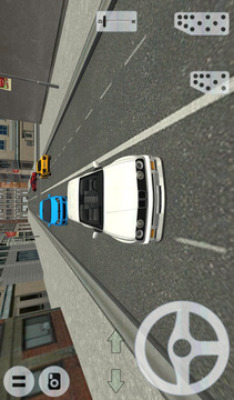 City Car Driving游戲截圖5