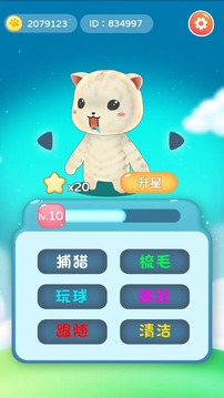 貓咪訓練計劃游戲截圖1