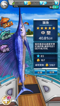 釣魚(yú)夢(mèng)想之旅游戲截圖3