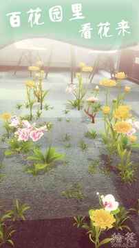 AR拾花游戲截圖1