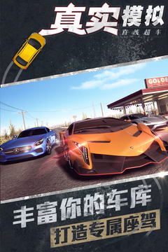 真實模擬直線超車游戲截圖1
