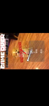 傻狗審判戰(zhàn)2階段游戲截圖1