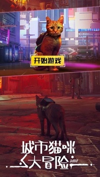 城市動物大冒險游戲截圖2