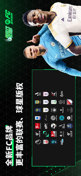 FC足球世界游戲截圖1