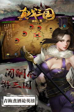 真·戰(zhàn)三國游戲截圖3