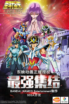 圣斗士星矢小宇宙幻想傳游戲截圖1