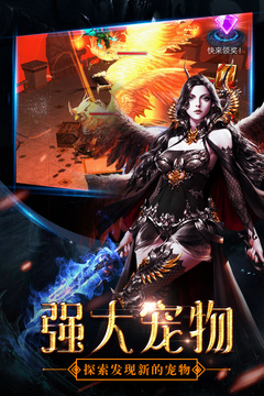 最后的騎士游戲截圖4