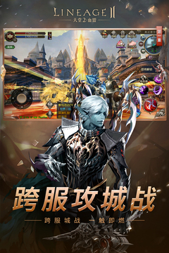 天堂2：血盟游戲截圖2
