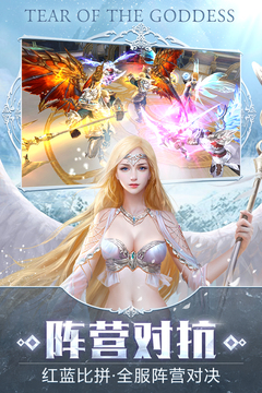 女神之淚游戲截圖3