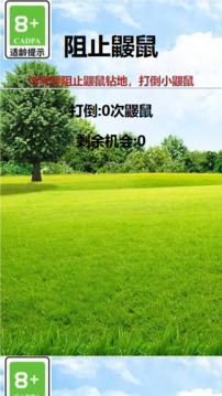 阻止鼴鼠游戲截圖3