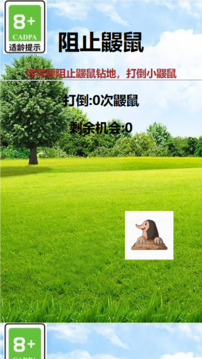 阻止鼴鼠游戲截圖2