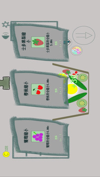 水果肉鴿游戲截圖2
