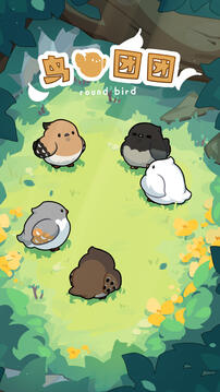 鳥鳥團團游戲截圖5