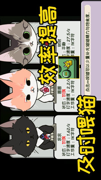 貓貓計劃游戲截圖1