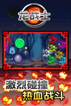 龍戰(zhàn)士游戲截圖4