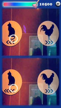 Toilet Culture游戲截圖2