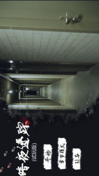 暗夜迷蹤游戲截圖5