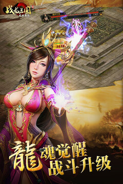 戰(zhàn)龍三國游戲截圖2