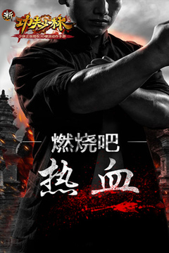 新功夫少林游戲截圖1