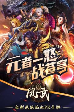 鳳武游戲截圖5