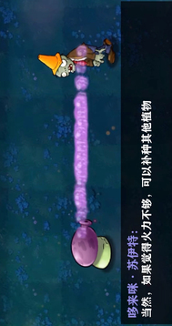 植物大戰(zhàn)僵尸東方版游戲截圖5