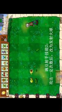 植物大戰(zhàn)僵尸坑版游戲截圖3