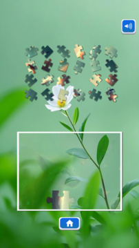 天天樂闖關(guān)游戲截圖3