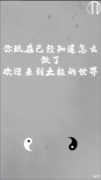 太極陰陽(yáng)游戲截圖2
