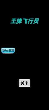 王牌飛行員游戲截圖1