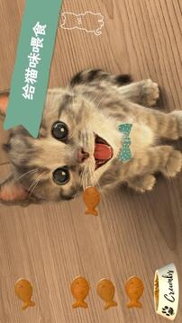 LittleKitten小貓游戲截圖4