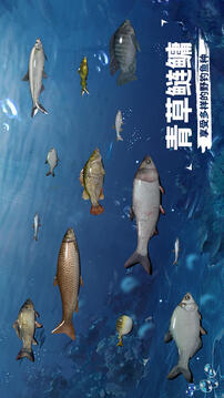 天天釣魚(yú)游戲截圖4