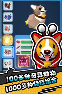 憤怒的小雞之沖天炮游戲截圖2