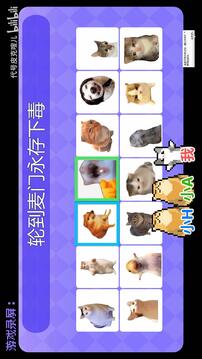 Meme的毒藥游戲截圖1