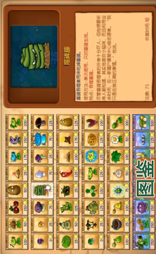 植物大戰(zhàn)僵尸：原始時(shí)代游戲截圖4