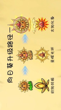 植物大戰(zhàn)僵尸共生版游戲截圖2