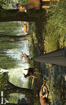 大雄鹿獵人游戲截圖4