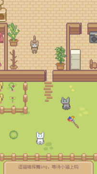 Miao屋游戲截圖1
