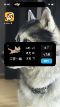 Miao屋游戲截圖4