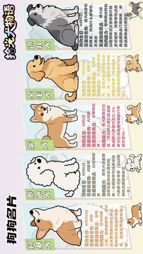 拾光犬物語游戲截圖1