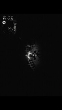 雙人抬棺游戲截圖5