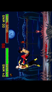 真人快打：遺產(chǎn)合集游戲截圖4