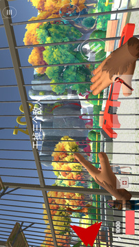 瘋狂猴子樂(lè)園游戲截圖1