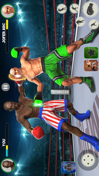 拳擊星戰(zhàn)打行動(dòng)游戲截圖3