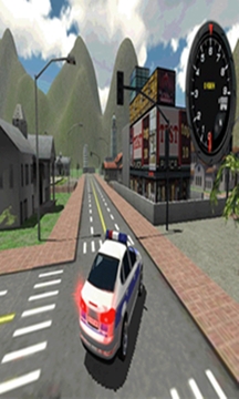 警车司机3D游戏截图1