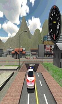 警车司机3D游戏截图4