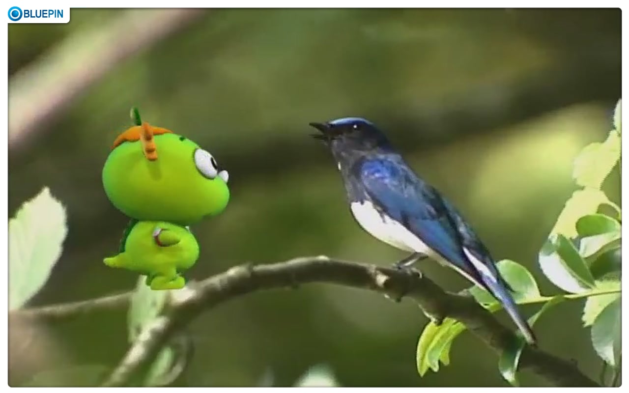 Kemy & Buka, Cheka Seaso.下载