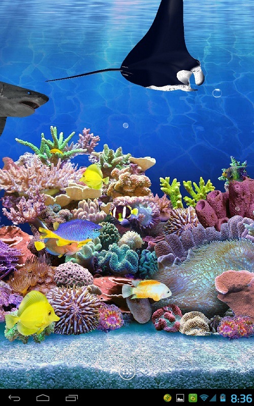 海底水族馆3D动态壁纸下载|海底水族馆3D动态壁纸手机版_最新海底水族馆3D动态壁纸安卓版下载